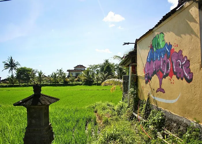 Auberge de jeunesse The Happy Mango Tree