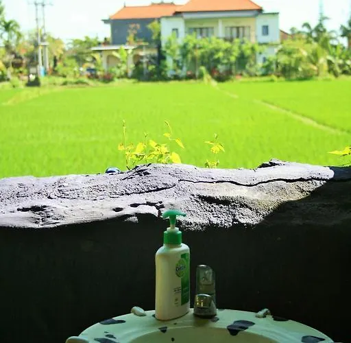 Hostel The Happy Mango Tree