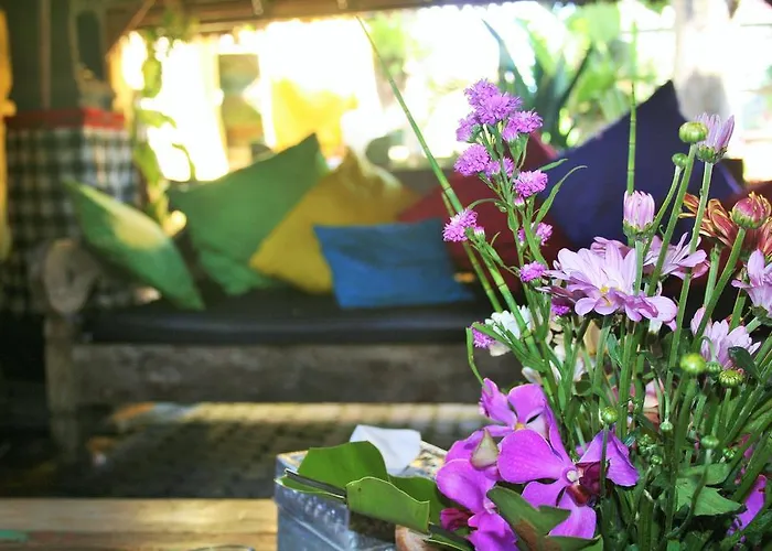 The Happy Mango Tree Auberge de jeunesse
