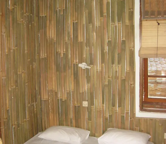 Auberge de jeunesse The Happy Mango Tree Ubud