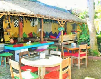 The Happy Mango Tree Auberge de jeunesse